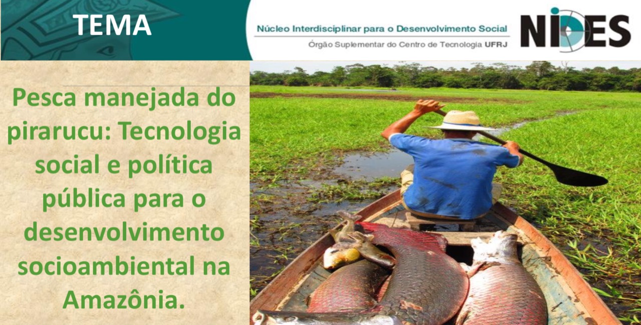QualificacaoNubia