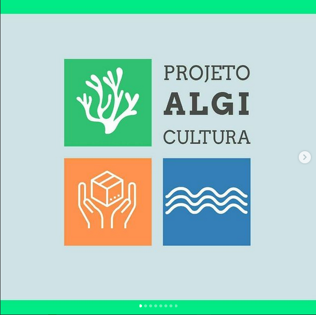 1 projeto algicultura